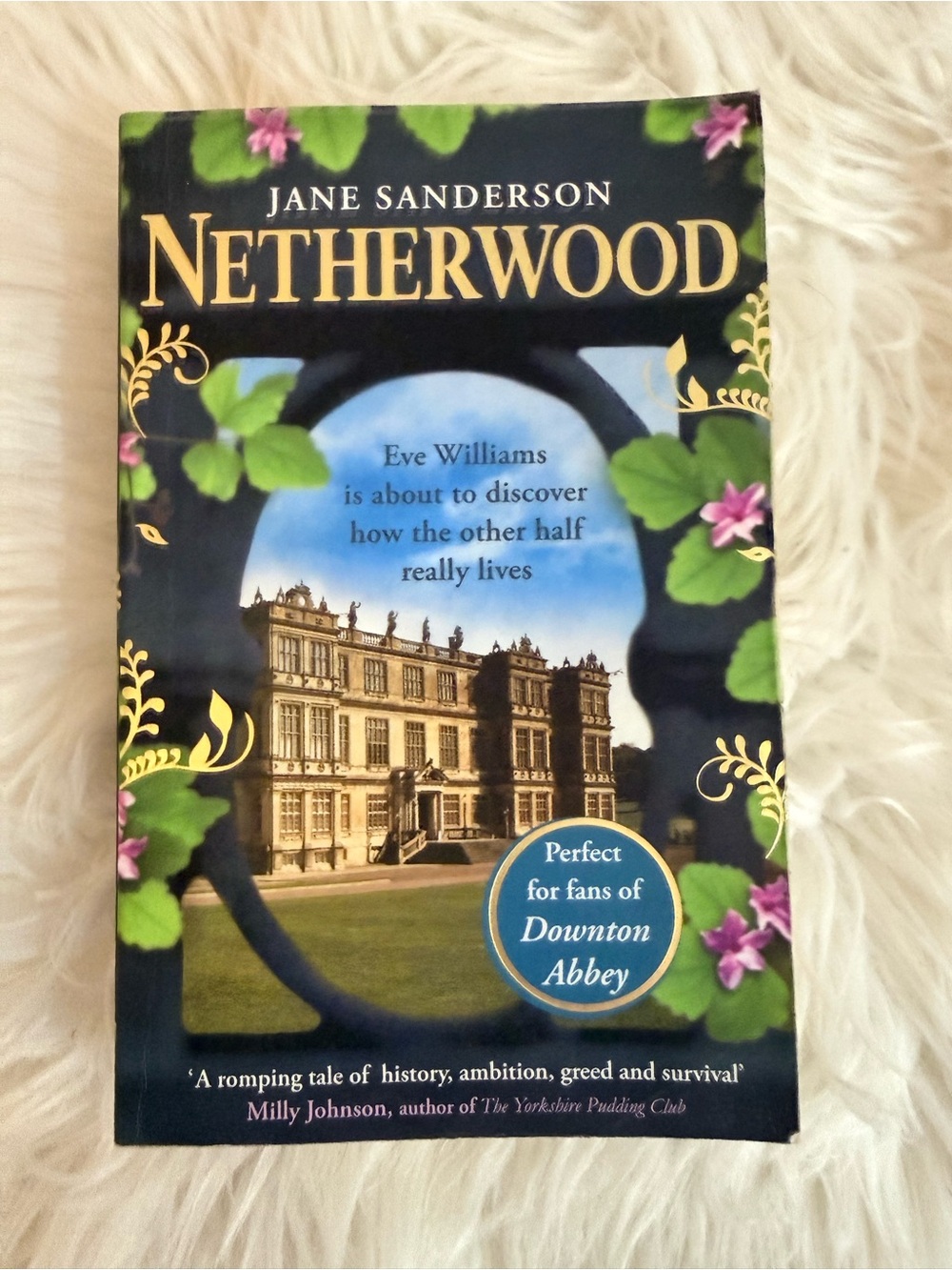 💫10/$25 • Netherwood Paperback by Jane Sanderson